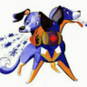 Meet your Posher, Elaine